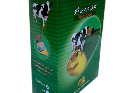 کفش درمانی دام