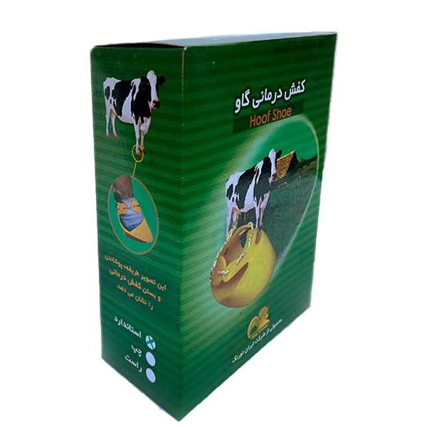 34 کفش درمانی دام