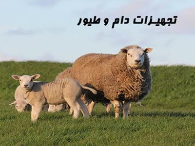 تجهیزات دام و طیور
