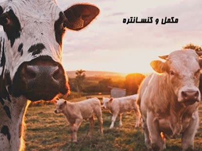 مکمل و کنسانتره